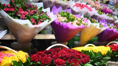 В Казанском университете рассказали, какую опасность представляют цветы 