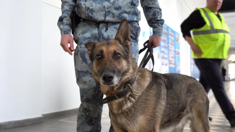 Тактико-специальные учения по обеспечению антитеррористической безопасности прошли в Казанском федеральном