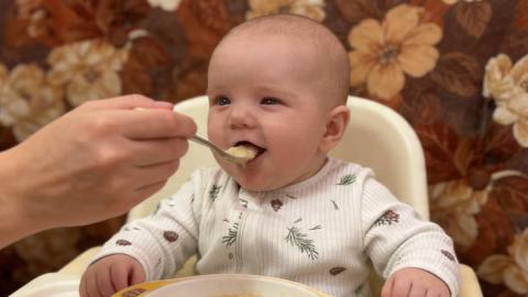 В КФУ объяснили, почему мультфильмы превращают трапезу в механическое поглощение пищи  