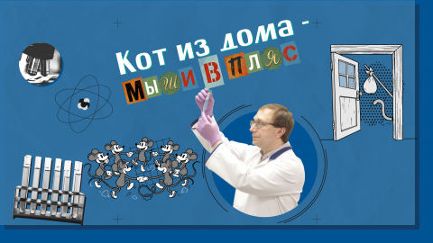 «Научный вердикт»: профессор КФУ рассказал, что на самом деле вызывает мышиную лихорадку
