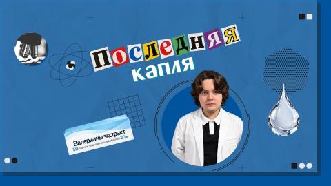 «Научный вердикт»: медицинский психолог КФУ развенчал самые распространенные заблуждения об успокоительных средствах