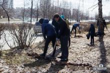 Субботник по благоустройству территории