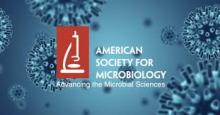 Тестовый доступ к коллекции журналов All-inclusive package издательства American Society for Microbiology