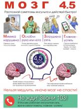 Проект «М.О.З.Г. 4,5»