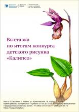 Выставка детского ботанического рисунка «Калипсо»